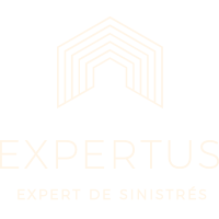 Cabinet Expertus Logo